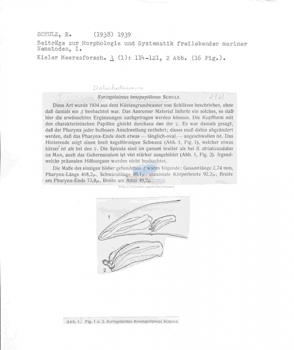 Trissonchulus benepapillosus