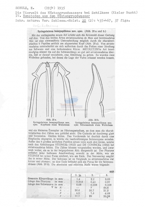 Trissonchulus benepapillosus