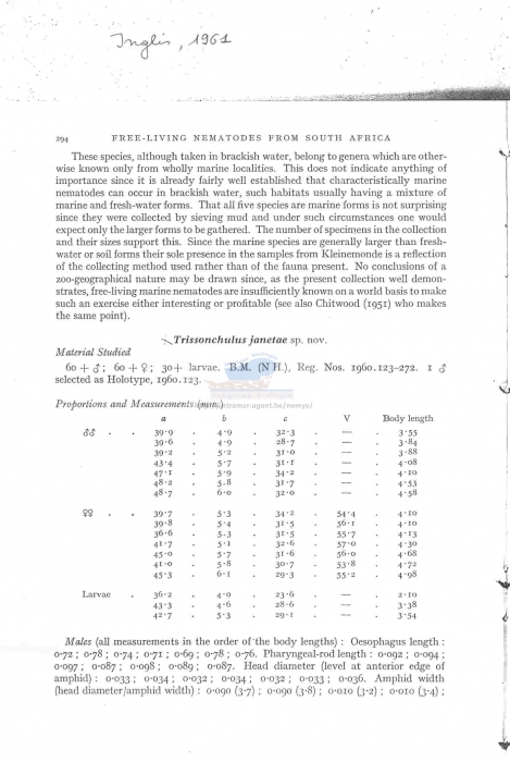 Trissonchulus janetae