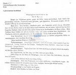 Leptosomatum bacillatum