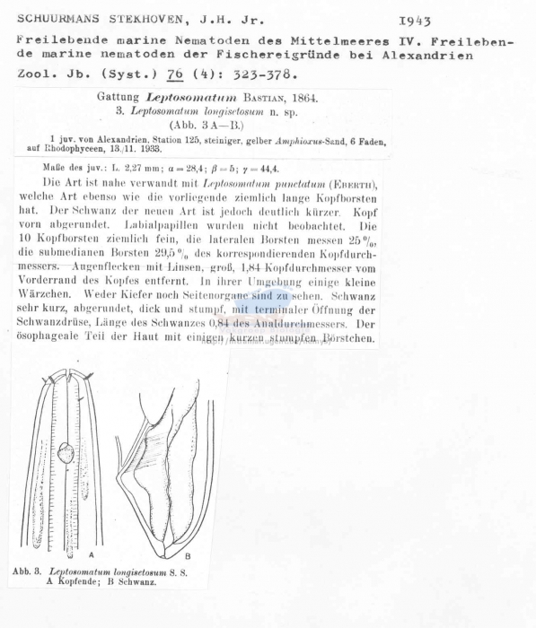 Leptosomatum longisetosum