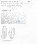Publication snippets