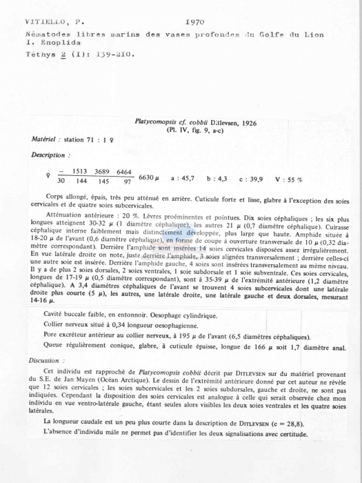 Platycomopsis cobbii