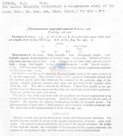 Thoracostoma angustifissulatum