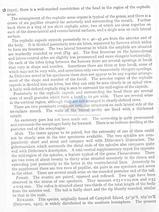 Thoracostoma campbelli