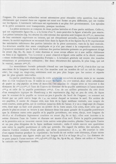 Thoracostoma setosum