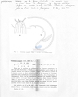 Nematode file-library of the Marine Biology Section (Ghent University, Belgium)