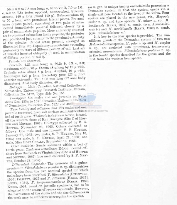 Filoncholaimus prolatus