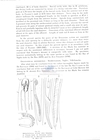 Nematode file-library of the Marine Biology Section (Ghent University, Belgium)