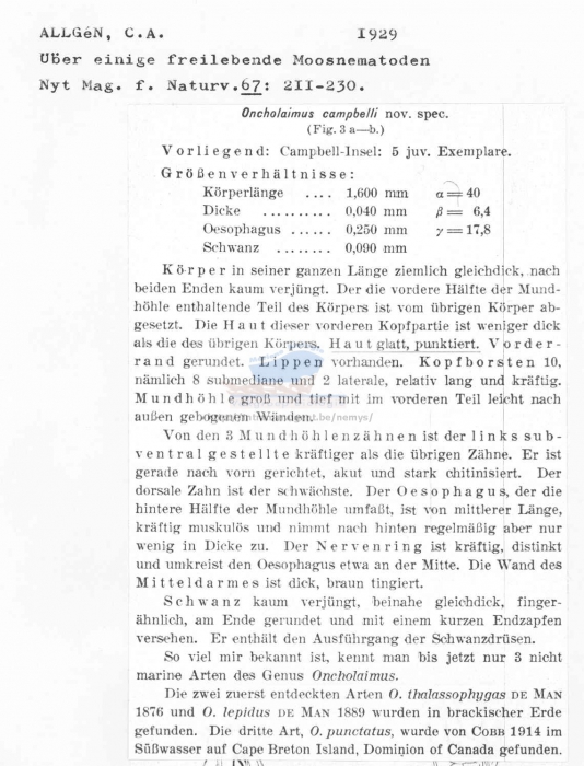 Oncholaimus campbelli