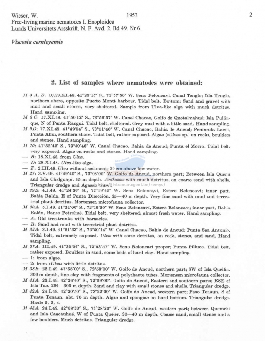 Viscosia carnleyensis