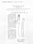 Viscosia glabra