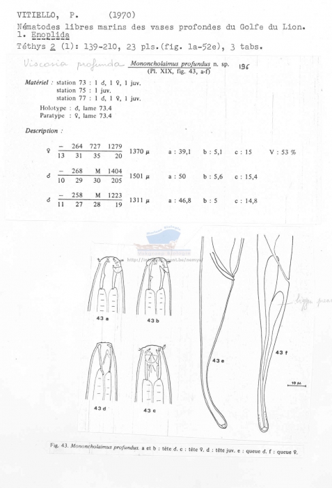 Viscosia profunda
