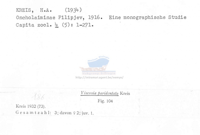 Viscosia paridentata