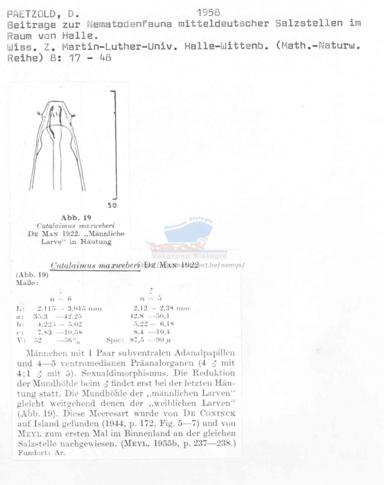 Calyptronema maxweberi