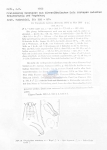 Tripyloides marinus