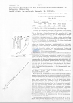 Tripyloides amazonicus