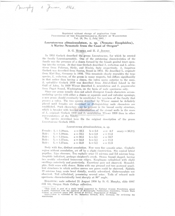 Lauratonema obtusicaudatum