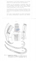 Nematode file-library of the Marine Biology Section (Ghent University, Belgium)