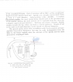 Nematode file-library of the Marine Biology Section (Ghent University, Belgium)