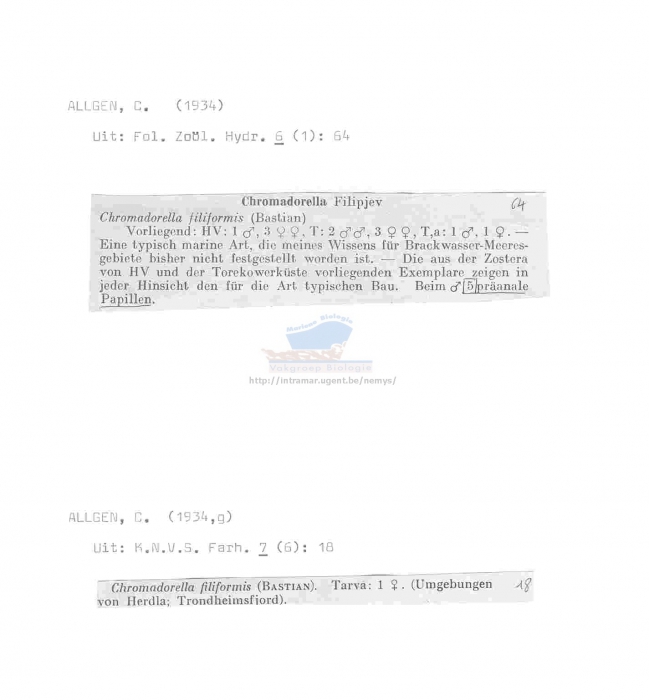 Chromadorella filiformis