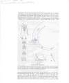 Nematode file-library of the Marine Biology Section (Ghent University, Belgium)