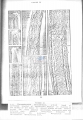 Nematode file-library of the Marine Biology Section (Ghent University, Belgium)
