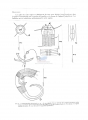 Nematode file-library of the Marine Biology Section (Ghent University, Belgium)