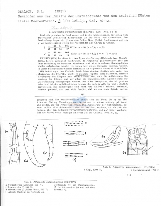 Chromadorita guidoschneideri