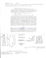 Nematode file-library of the Marine Biology Section (Ghent University, Belgium)