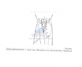 Nematode file-library of the Marine Biology Section (Ghent University, Belgium)