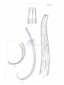 Nematode file-library of the Marine Biology Section (Ghent University, Belgium)