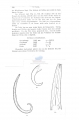 Nematode file-library of the Marine Biology Section (Ghent University, Belgium)