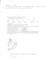 Nematode file-library of the Marine Biology Section (Ghent University, Belgium)