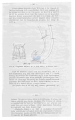 Nematode file-library of the Marine Biology Section (Ghent University, Belgium)