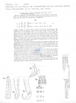 Nematoda