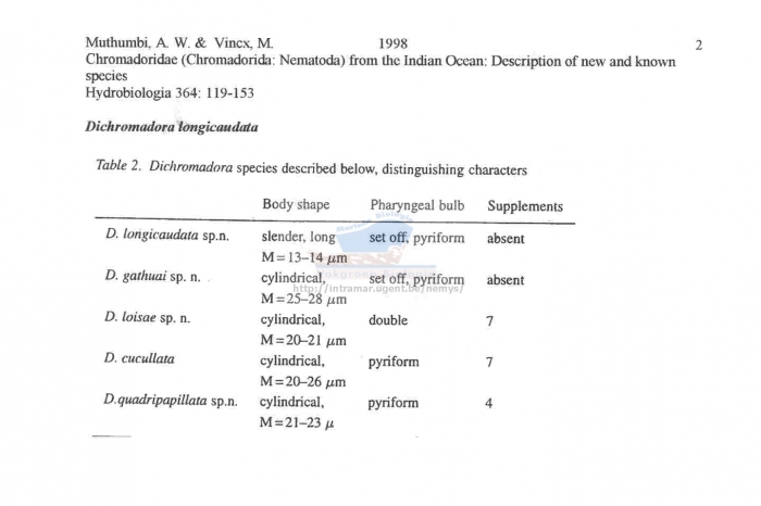 Dichromadora longicaudata