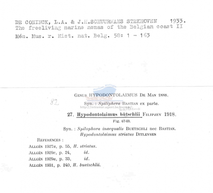 Hypodontolaimus balticus