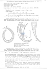 Nematode file-library of the Marine Biology Section (Ghent University, Belgium)