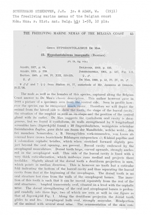 Hypodontolaimus inaequalis