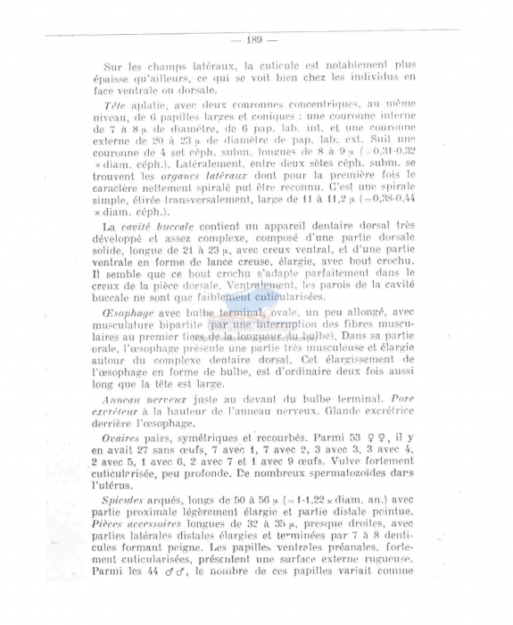 Hypodontolaimus inaequalis