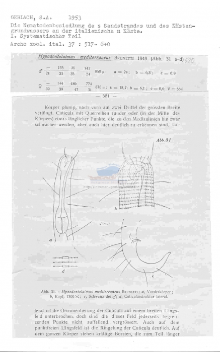 Hypodontolaimus mediterraneus