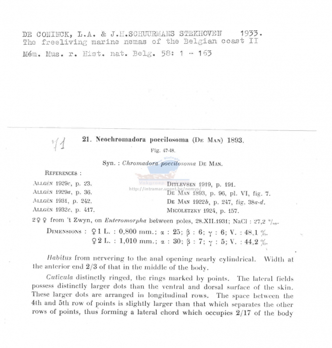 Neochromadora poecilosoma