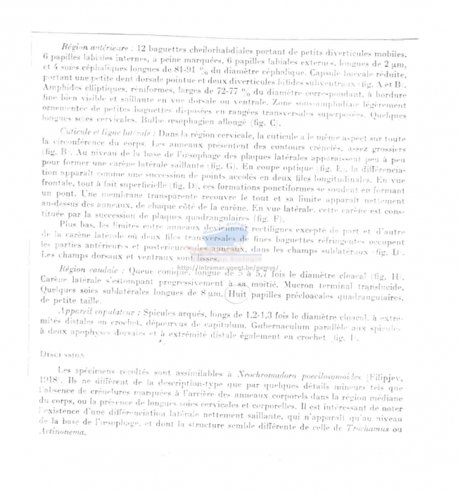 Neochromadora poecilosomoides