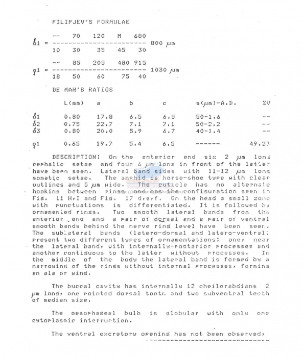 Neochromadora lineata