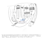 Nematode file-library of the Marine Biology Section (Ghent University, Belgium)