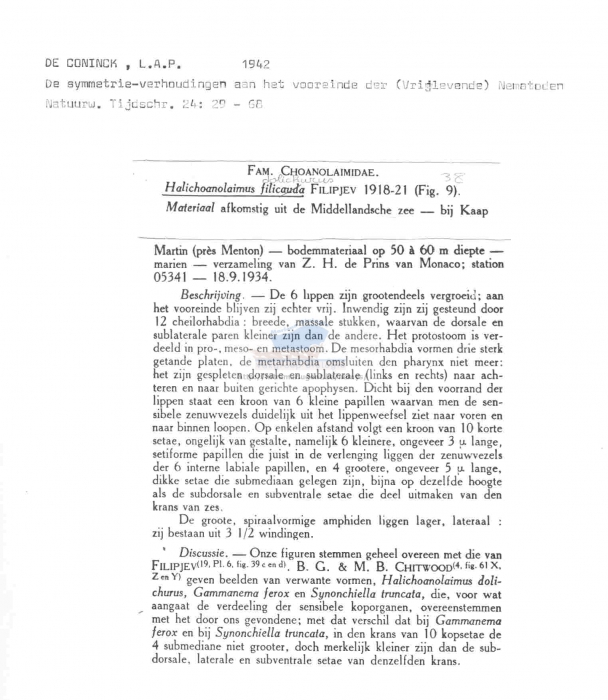 Halichoanolaimus dolichurus