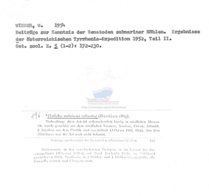 Halichoanolaimus robustus