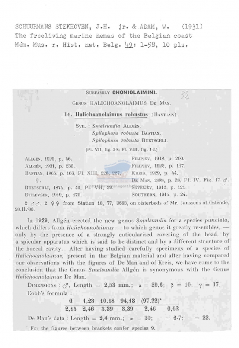 Halichoanolaimus robustus