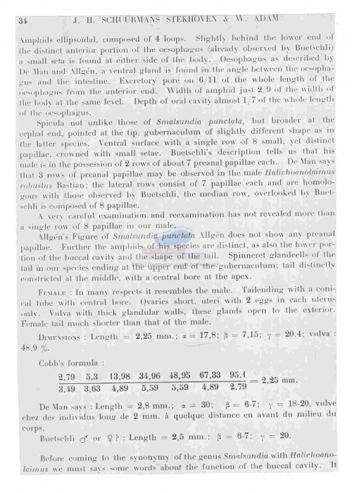 Halichoanolaimus robustus